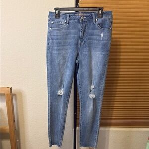 Hollis Haley Distressed Ankle Jeans Size 29